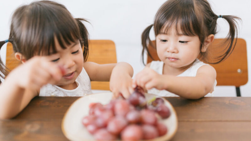 【子供の成長に欠かせない栄養は？】バランスの取れた食事法を解説 